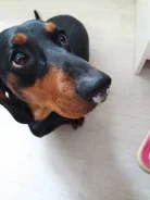 �����. ����