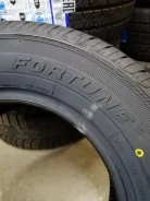 Fortune FSR-801. ������, 2020 ���, ����� ����