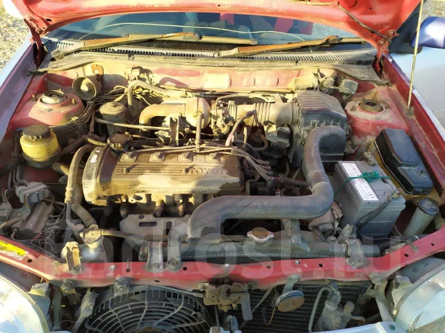 Toyota Starlet. ��������, ��������, 1.3 (86��.�.), ������, 200 000����. �� ����