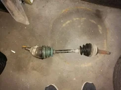 ������, ������� 4342020281 ����
