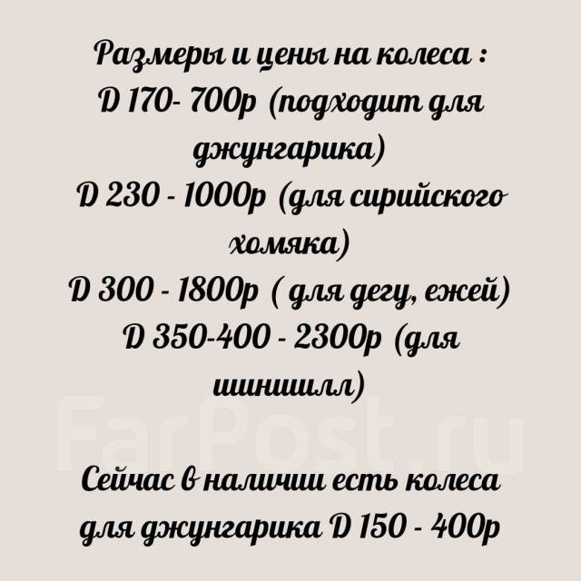 Беговое колесо для дегу, шиншил и крыс (пластик) 30см