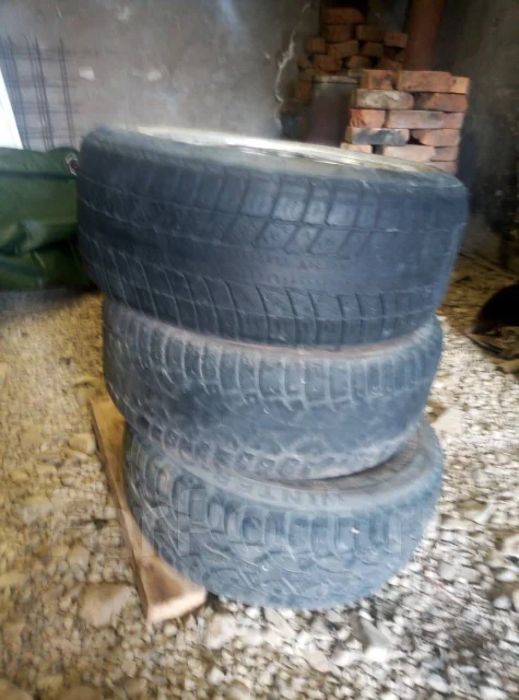 Sein. x16" ����
