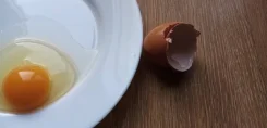 ���� �������. ����