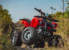 Racer Tiger RC150-23. ����������, ��� ���\���, ��� �������. ��� ����� �� ���������� ����