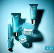 ������ � ���������� ����������-������������� �������� CIEL ����