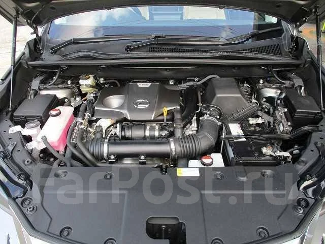 Lexus NX200t. �������, ��������, 2.0 (238��.�.), ������, 20 000����. ��, �/�. ��� ����� �� ������������ ����
