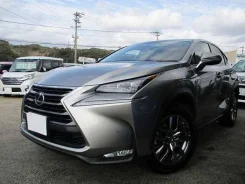 Lexus NX200t. �������, ��������, 2.0 (238��.�.), ������, 20 000����. ��, �/�. ��� ����� �� ������������ ����