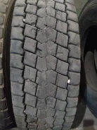 TyRex. �����������, 2019 ���, �/�, ����� 10�%