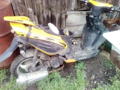 Racer Lupus ����