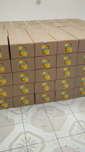 ����. ����