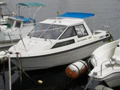 Yamaha LS-20. 1998 ���, ����� 6��., ��������� ���������, 150��.�., ������ ����