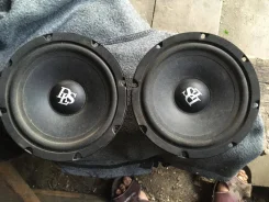 DLS ����