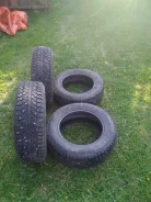 Pirelli Ceat Formula Winter. ������, ����������, 2019 ���, �/�, ����� �� 5�%