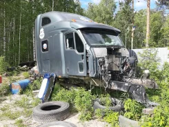 Peterbilt 387 ����