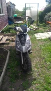 Tracer. 50����. ��., ��������, ��� ���, � �������� ����