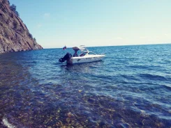 ���� 17. 2016 ���, ����� 5��., ��������� ���������, 100��.�., ������ ����
