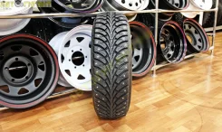 Sava Eskimo Stud. ������, ����������, 2020 ���, ����� ����