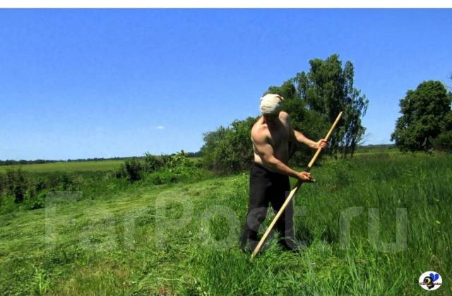 Покос травы на участке во Владивостоке