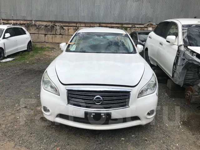 Nissan Fuga. KNY51, VQ37 ����