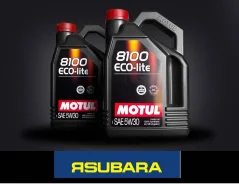 Motul 8100 Eco-Lite. 5W-30, �������������, 4��. ����