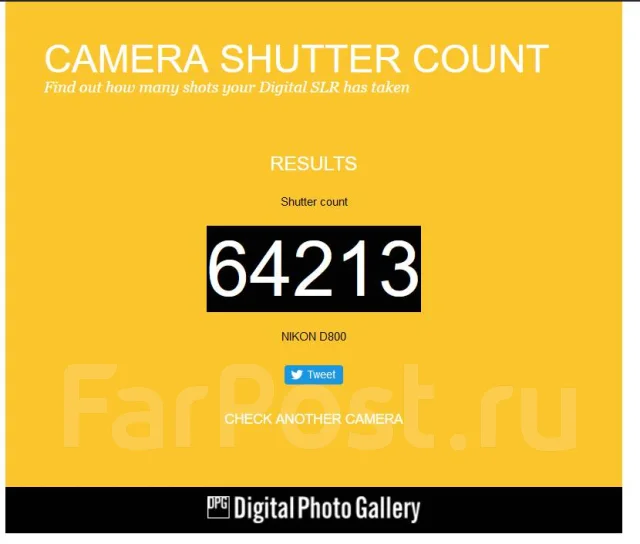 Nikon D800. 20 � ����� ��, ���: ��� ���� ����
