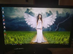 DEXP. 24" ����