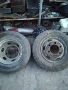Sava Tamar Plus. �����������, �/�, ����� 70�% ����