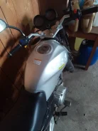 Irbis VR-1. 200����. ��., ��������, ��� ����