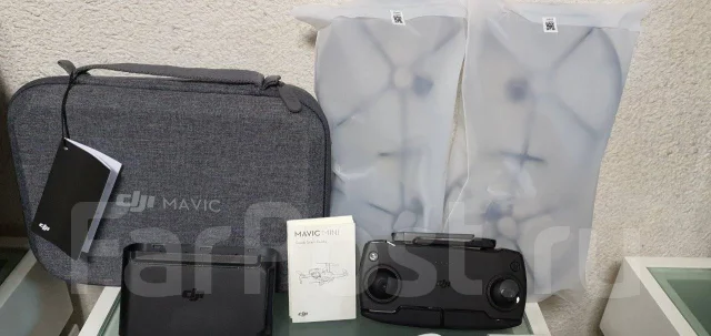 DJI Mavic Mini. � ������� ����