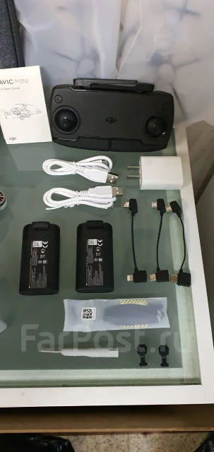 DJI Mavic Mini. � ������� ����
