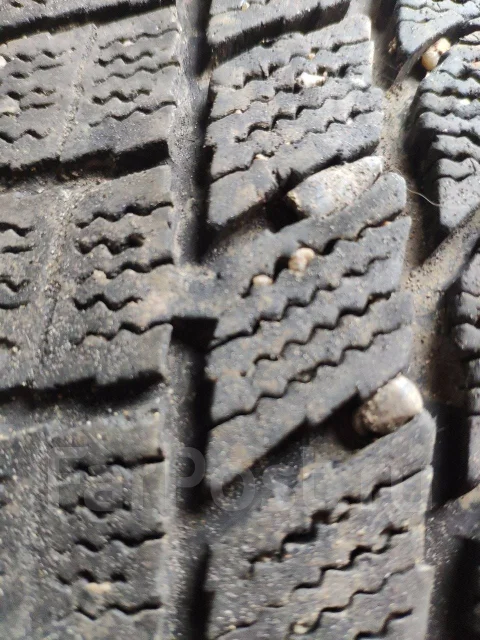 Toryo. ������, ��� �����, �/�, ����� 50 % ����