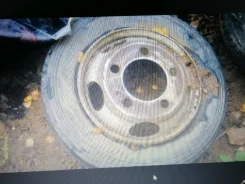 ����. x15,5" ����