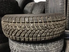 Bridgestone Winter Radial WT-17. ������, ����������, ����� ����