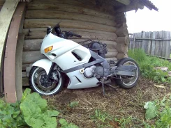 Kawasaki ZZR 400 1 ����