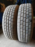 TyRex. �����������, 2019 ���, �/�, ����� 40�%