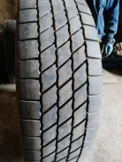 Semperit. �����������, 2019 ���, �/�, ����� 10�% ����