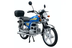 Regulmoto Alpha RM-1. 110����. ��., ��������, ��� ���, ��� �������. ��� ����� �� ������������-��-����� ����