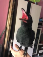 ������. ����