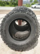Lakesea Crocodile. ����� mt, 2016 ���, �/�, ����� �� 5 % ����