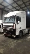 DAF XF105 ����