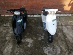 Honda Pal. 49����. ��., ��������, ���, ��� ������� ����