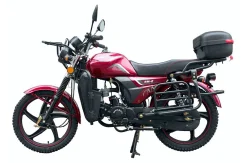 Regulmoto Alpha RM-2. 110����. ��., ��������, ��� ���, ��� �������. ��� ����� �� ���������� ����