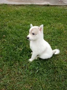 ���������������� �����. ����