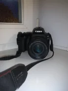 Canon EOS 200D. 20 � ����� ��, ���: 3� ����