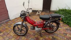 Eurotex City-M. 72����. ��., ��������, ���, � �������� ����