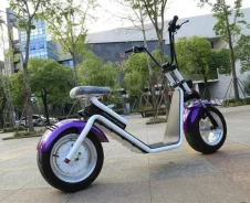 Seev Citycoco. 1 000����. ��., ��������, ��� ���, � �������� ����