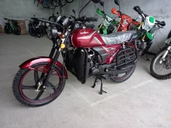 Regulmoto Alpha RM-2. 110����. ��., ��������, ��� ���, ��� ������� ����