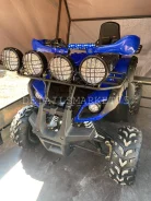 Yamaha Grizzly. ��������, ���� ���\���, ��� �������. ��� ����� �� ���� ����
