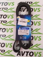 ������ ������������ AMD 6PK1736 AMDBL423 ����