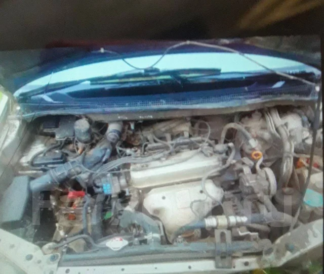 Honda Odyssey. �������, 4wd, 2.2, ������, 230����. �� ����